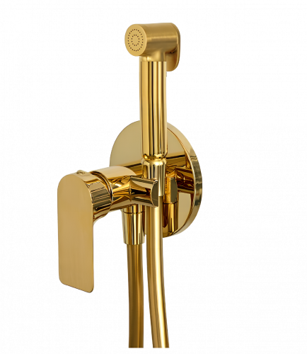 Bidet shower INFINITY | oval | gold gloss