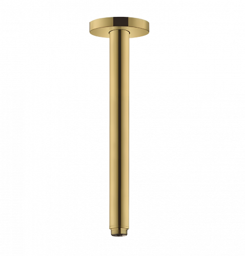 347 N | Shower arms | 100 mm | gold gloss