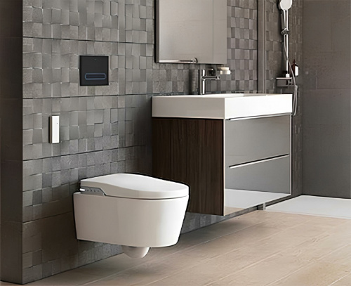 Vessel or wall-mounted sink Inspira 800 x 490 x 120