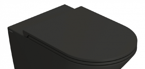 Toilet seat Forty3 | 459x365 mm | SoftClose | Anthracite mattte